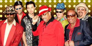 Dysfunkshun Junkshun